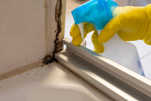 Best Air Quality Testing for Mold Spores  in Princeton, MN